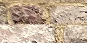 mural